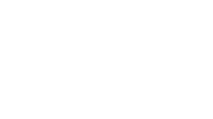 Red Fox Auto Care LLC